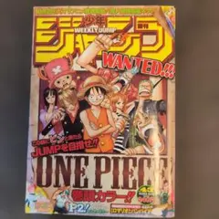 g*s様 少年ジャンプ！ワンピース10周年！金麦わら帽子！ - メルカリ