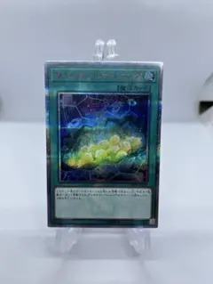 2026年最新】遊戯王OCG サイバネット・マイニングの人気アイテム