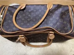 Louis Vuitton モノグラム ペットキャリーバッグのサムネイル