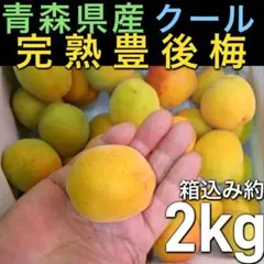 33.青森県産　豊後梅　2L.3L.4L混ざり 箱込み約2kg
