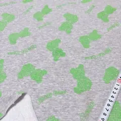 Item thumbnail for item d73e6f49-3af7-464d-b71d-62947fc87ef0