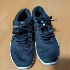 Item thumbnail for item 25aa4b06-ae21-4b47-a8da-e28333f953be