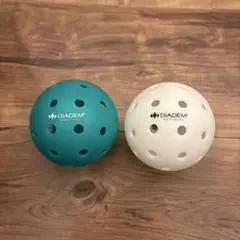 ZIPAIR x DIADEM コラボピックルボール２個セット