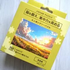 ハヤテのごとく! ジグソーパズル 1000ピース パズル ナギ・ヒナギク