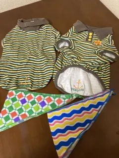 Item thumbnail for item 4987fda2-8aff-46ee-ac82-144395f32dad