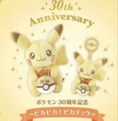 新品未使用　30周年記念 ピカピカ！ピカチュウ マスコット&ぬいぐるみ2点セット 新品 ピカピカ！ ピカチュウ 30周年記念 ぬいぐるみ マスコット 2点