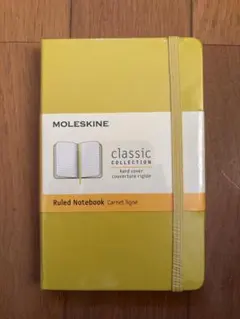 Item thumbnail for item 739e9b20-99bb-4aef-9855-fcad9e23c60c