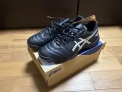 廃盤・希少】ASICS バレーシューズ ROTE JAPAN LYTE FF3 - メルカリ
