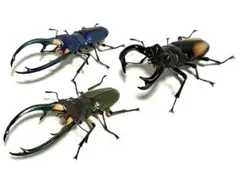 いきもの大図鑑 クワガタ 02 エラフス パリーフタマタ セット