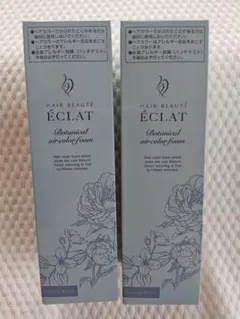 ヘアボーテ エクラ ボタニカル エアカラーフォーム ナチュラルブラック 150gのサムネイル