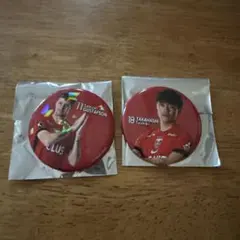 Item thumbnail for item bc0e10fa-70a2-4d45-9d83-6f45f5f8c228