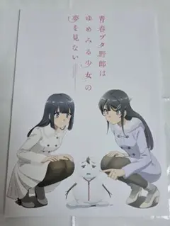 青春ブタ野郎はゆめみる少女の夢を見ない パンフレット