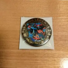 Pokémon LEGENDS Z-A　イオン早期購入特典 メガリザードンX