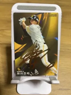 柳田悠岐 サイン入りプロ野球チップスカード