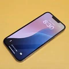 iPhone 13 Pro 256GB｜24時間以内発送#591