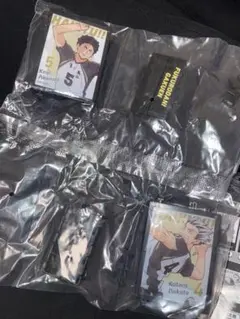 ハイキュー　繋ぐ　エモーショナル　ライトアップポスターコレクション　木兎　赤葦