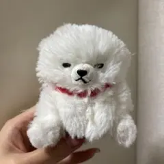 犬 ぬいぐるみ キャラクターグッズ