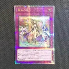 遊戯王 フォーチュンレディ・エヴァリー 2枚セット アジア版 20thシク