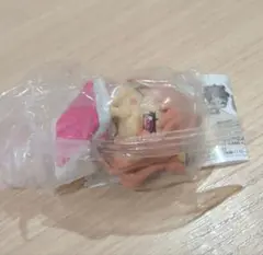 カラフルピーチ　からぴち　ガチャ　おねむたん　のあ