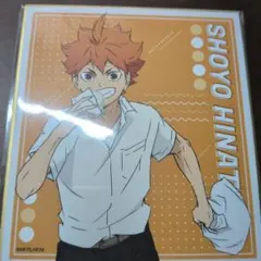 トレーディング色紙　日向翔陽　ハイキュー