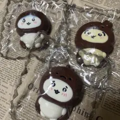 海外スクイーズ