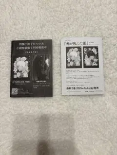 Item thumbnail for item c741e34b-49f2-49ea-93cb-07917901090f