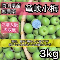 竜峡小梅 青梅 3kg 無農薬 岡山県産 農家直送のサムネイル