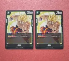 孫悟空 交流会 プロモ PR FP-034