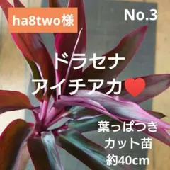 ha8two様 リクエスト 2点 まとめ商品