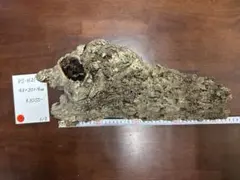 Item thumbnail for item e0b53ca3-b85e-4a42-be6e-852c07e23623