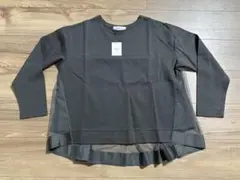 Item thumbnail for item a942259a-56b5-41d7-a580-b6ad65a798f1