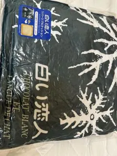 Item thumbnail for item 03c0abff-366f-4554-99ed-3969378a0a07