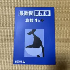 Item thumbnail for item 51736e58-c5d6-488f-8b0a-6398ea8c9f32