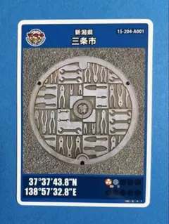 Item thumbnail for item 61f3c0c6-9f1c-4e4d-94a3-023c03c0a8d0