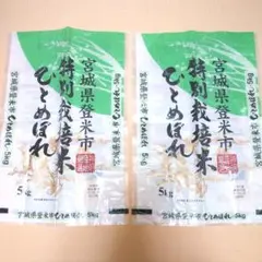 Item thumbnail for item 7243fa05-ca6a-4759-a69d-766f5c0138c0