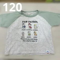 サマンサモスモス パウパトロール 半袖Tシャツ 120cm