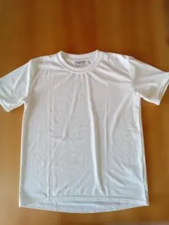 Item thumbnail for item 1941fdc5-5b6c-425f-8212-cbeb16f9a17c