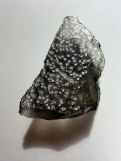 希少】化石 フィトサウルス類レドンダサウルスの装甲 ミニ歯付 大絶滅