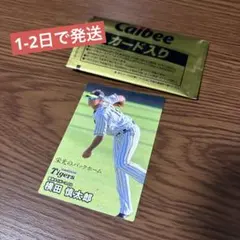横田慎太郎 スポーツカード