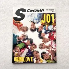 S Cawaii! 2020 AUTUMN J01 NO BORDER