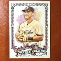 アンソニーボルピー　世界に25枚限定　ヤンキース　ルーキーカード アンソニーボルピー 世界に25枚限定 ヤンキース ルーキーカード 【公式