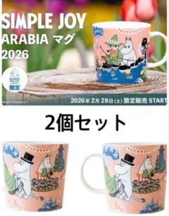 ムーミンバレーパーク限定　ARABIA ムーミンアラビア　マグカップ　2個　ペア
