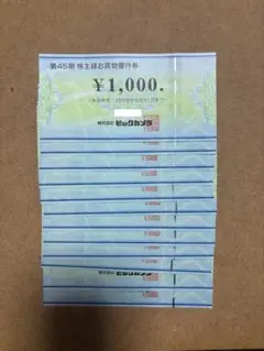 ビックカメラ 株主優待券 12000円分
