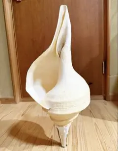 2025年最新】ほらがいの人気アイテム - メルカリ