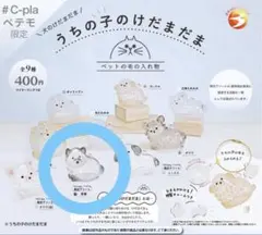 うちの子のけだまだま 黒柴