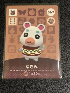 amiiboカード　ゆきみ