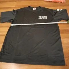 Item thumbnail for item da7b6de6-fd65-44b1-a578-3220a5e067fc