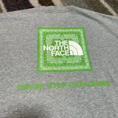 THE NORTH FACE Tシャツ グレー