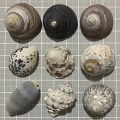 琴音様 リクエスト 2点 まとめ商品