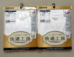 GUNZE 快適工房 半袖U首 Lサイズ 2枚セット